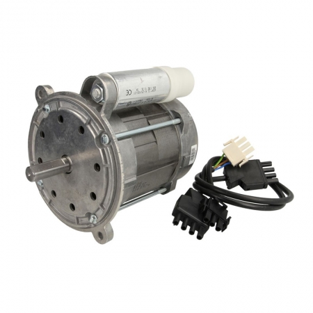   250 Watt